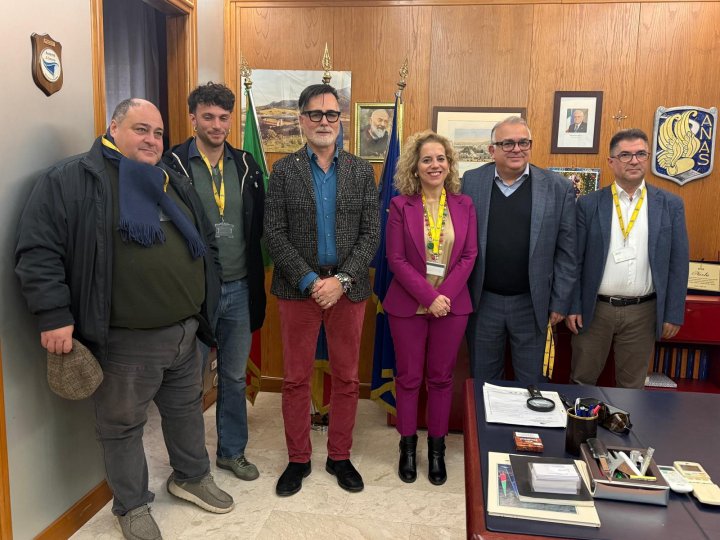 pd anas26A.jpg (91480 byte)