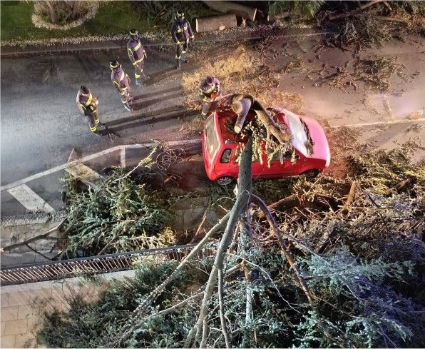 ve2.jpg (127301 byte)