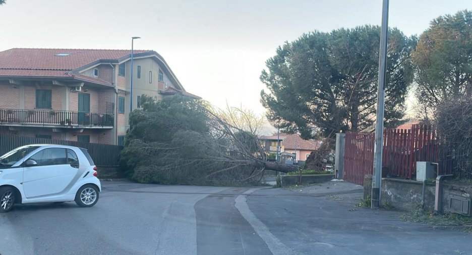 vento4.jpg (98124 byte)